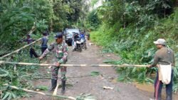 Koramil 424-08/Ppg Komandoi Gotong royong di sinar Jawa Tanggamus, Panitia Ucapkan Terumakasih