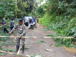 Koramil 424-08/Ppg Komandoi Gotong royong di sinar Jawa Tanggamus, Panitia Ucapkan Terumakasih